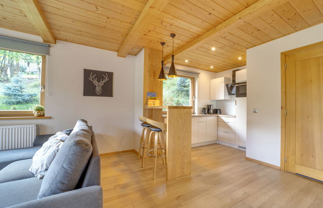 Casa de 2 quartos em Szczyrk com jardim e terraço - Foto 8