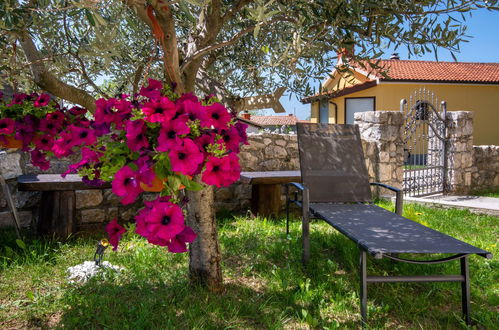 Foto 12 - Casa con 2 camere da letto a Lupoglav con piscina privata e giardino