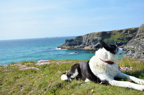 Photo 6 - 3 bedroom House in Padstow with garden and sea view