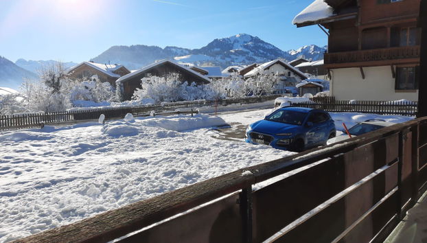 Apartment mit 1 Schlafzimmer in Zweisimmen - Foto 3