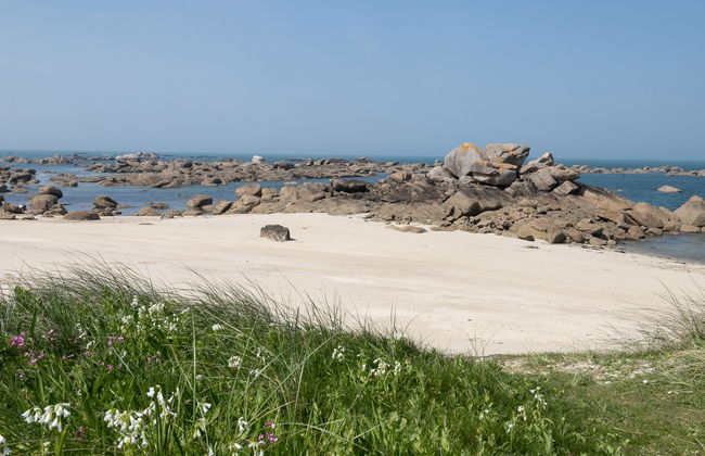 Apartment mit 3 Schlafzimmern in Plounéour-Brignogan-plages mit garten - Foto 29