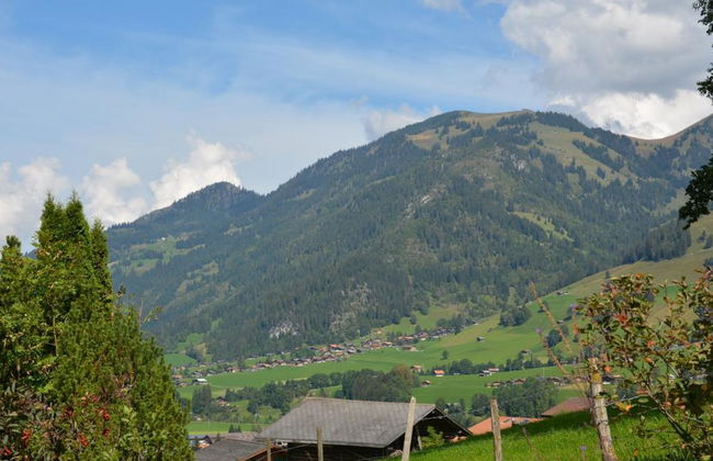 Appartement de 2 chambres à Zweisimmen - Photo 6