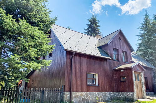 Photo 28 - Maison de 5 chambres à Kovářská avec jardin