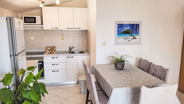 Apartamento de 3 quartos em Sveti Filip i Jakov com jardim e terraço - Foto 3