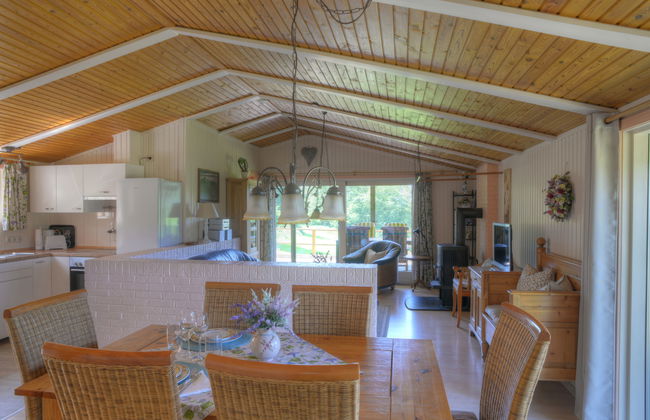 Casa de 4 quartos em Extertal com jardim e terraço - Foto 3