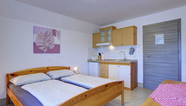 Apartamento de 1 quarto em Bohinj - Foto 5