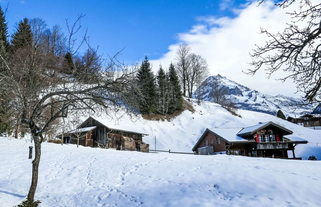 Apartamento de 1 quarto em Grindelwald com jardim - Foto 16