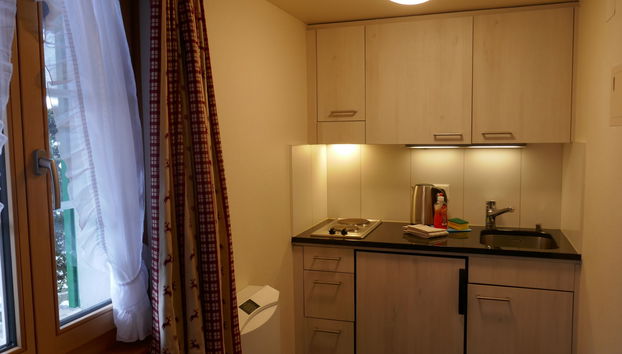 Apartment mit 1 Schlafzimmer in Grindelwald mit garten - Foto 3