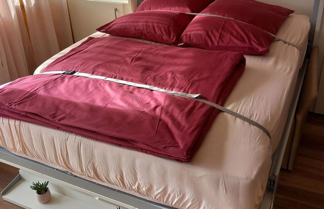Apartamento de 1 quarto em Engelberg - Foto 15