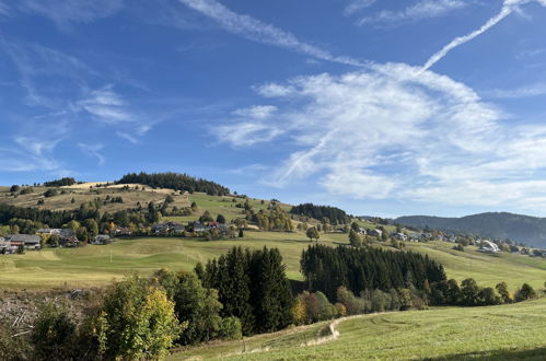 Photo 29 - Appartement de 4 chambres à Bernau im Schwarzwald avec terrasse et vues sur la montagne