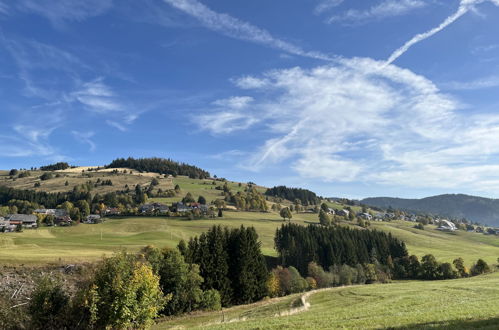 Foto 37 - Appartamento con 2 camere da letto a Bernau im Schwarzwald con terrazza e vista sulle montagne