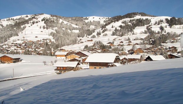 Apartamento de 1 quarto em Saanen - Foto 4