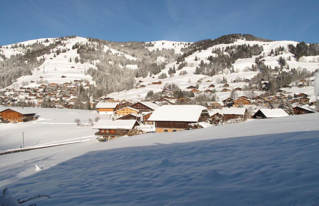 Apartamento de 1 quarto em Saanen - Foto 4