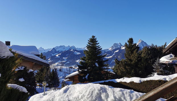 Apartamento de 1 quarto em Saanen - Foto 3