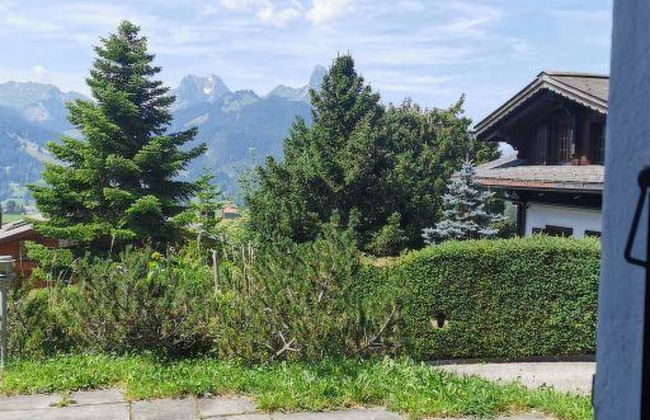 Apartamento de 1 quarto em Saanen - Foto 7