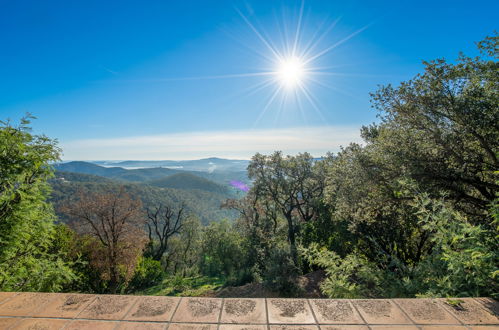 Photo 30 - Maison de 1 chambre à La Garde-Freinet avec piscine privée et terrasse