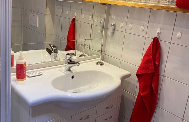 Apartamento de 1 quarto em Saanen - Foto 19