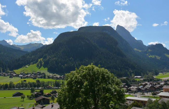 Apartamento de 1 quarto em Saanen - Foto 6