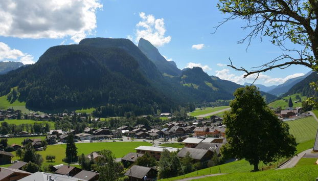 Apartamento de 1 quarto em Saanen - Foto 5