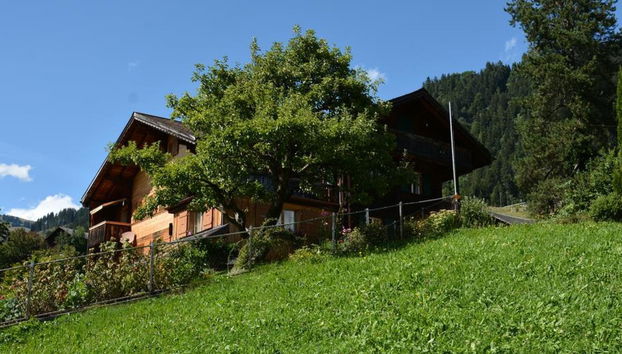 Apartamento de 1 quarto em Saanen - Foto 4