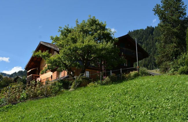 Apartamento de 1 quarto em Saanen - Foto 4