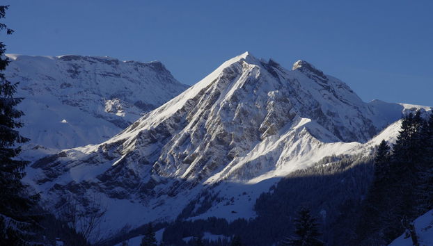 Apartment mit 1 Schlafzimmer in Adelboden - Foto 5
