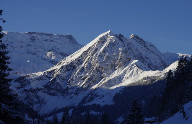 Apartamento de 1 quarto em Adelboden - Foto 5