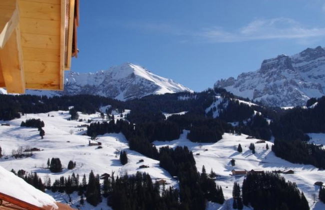 Apartamento de 1 quarto em Adelboden - Foto 4