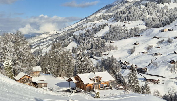 Apartment mit 1 Schlafzimmer in Adelboden - Foto 3