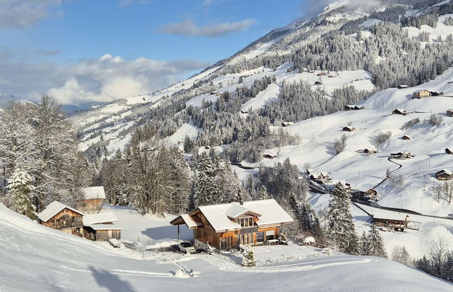 Apartamento de 1 quarto em Adelboden - Foto 3