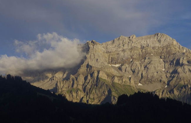 Apartamento de 1 quarto em Adelboden - Foto 6