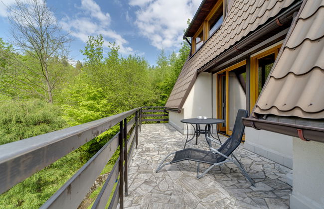 Casa de 4 quartos em Wisła com jardim e terraço - Foto 35
