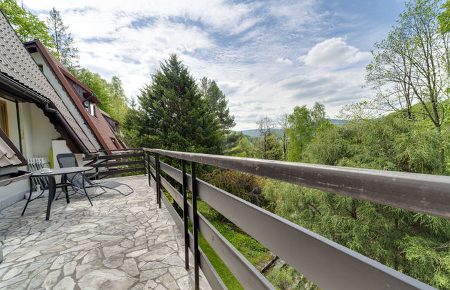 Casa de 4 quartos em Wisła com jardim e terraço - Foto 36