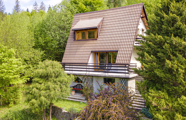 Casa de 4 quartos em Wisła com jardim e terraço - Foto 1