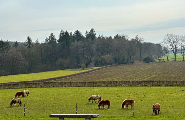 Casa de 4 quartos em Gulpen com jardim e terraço - Foto 16