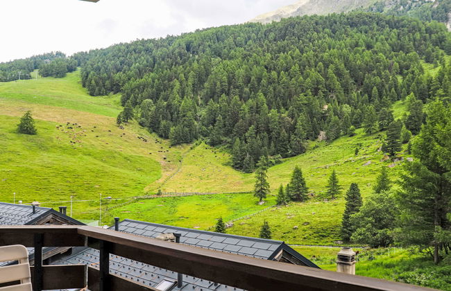 Apartamento de 2 quartos em Nendaz com jardim - Foto 3