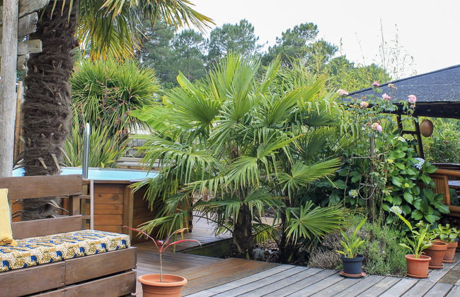 Casa de 4 quartos em Le Porge com piscina privada e jardim - Foto 6
