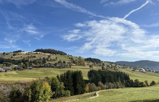 Apartamento de 3 quartos em Bernau im Schwarzwald com terraço - Foto 47