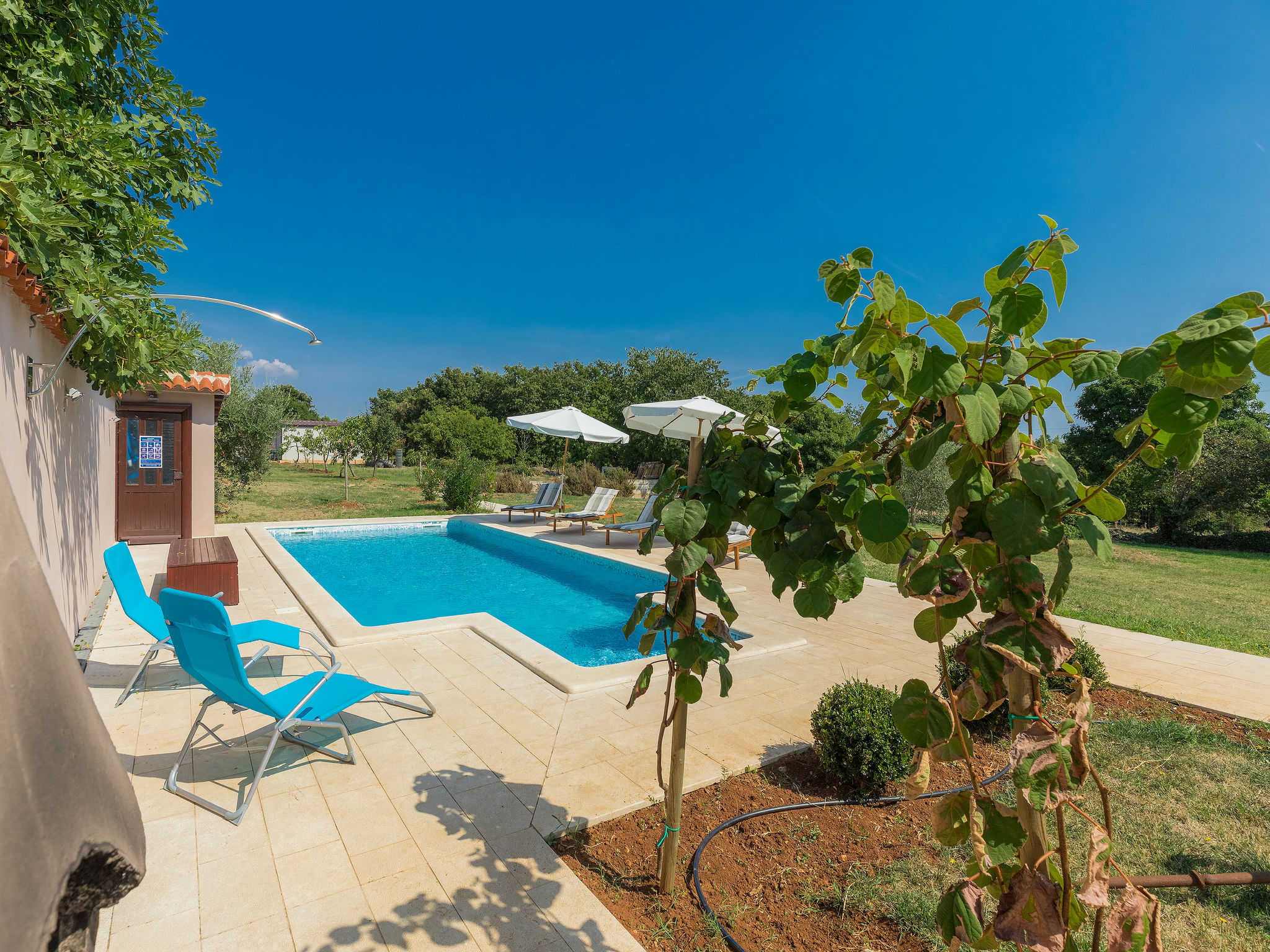 Foto 1 - Casa con 2 camere da letto a Marčana con piscina privata e vista mare