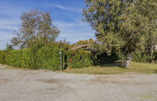 Casa de 3 quartos em Arles com piscina e jardim - Foto 19