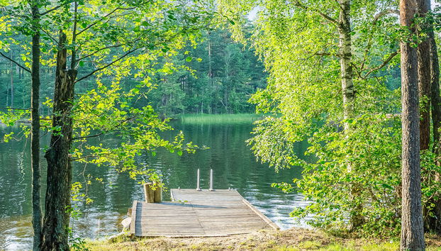 Casa con 4 camere da letto a Asikkala con sauna - Foto 3