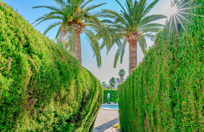 Apartment mit 3 Schlafzimmern in Jávea mit schwimmbad und garten - Foto 25