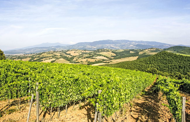 Maison de 4 chambres à Cinigiano avec piscine et jardin - Photo 6