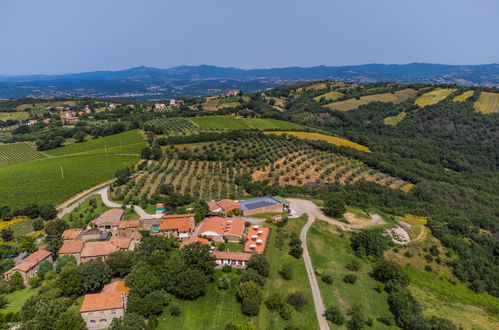 Foto 5 - Haus mit 3 Schlafzimmern in Cinigiano mit schwimmbad und garten