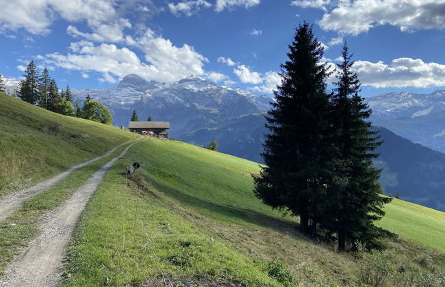 1 bedroom Apartment in Lenk - Photo 10
