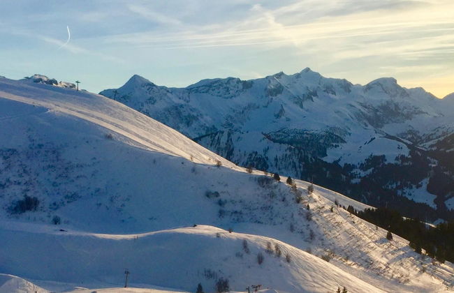 1 bedroom Apartment in Lenk - Photo 19