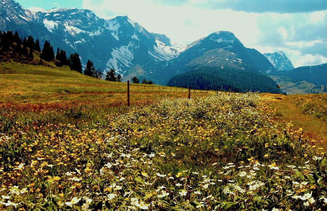 1 bedroom Apartment in Lenk - Photo 14