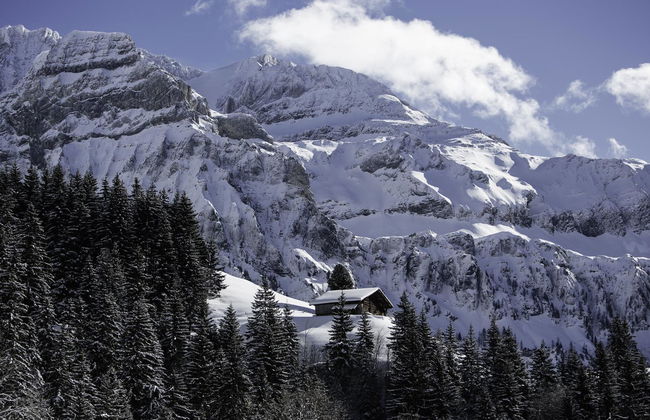 1 bedroom Apartment in Lenk - Photo 11