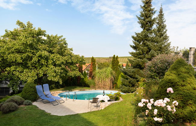 Haus mit 2 Schlafzimmern in Horní Věstonice mit privater pool und garten - Foto 8