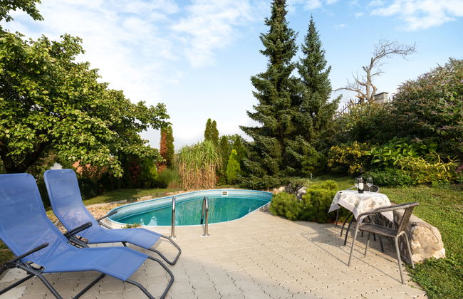 Haus mit 2 Schlafzimmern in Horní Věstonice mit privater pool und garten - Foto 9